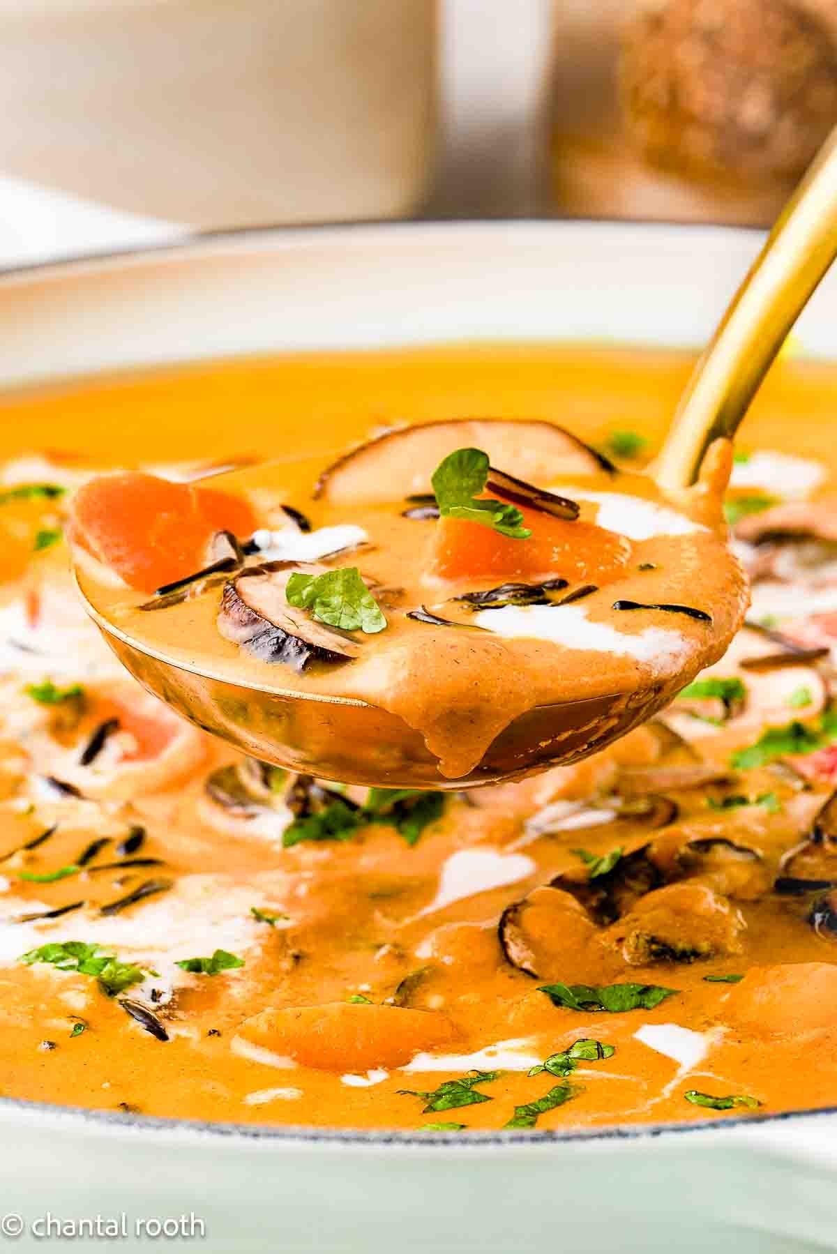 Autumn Soup
